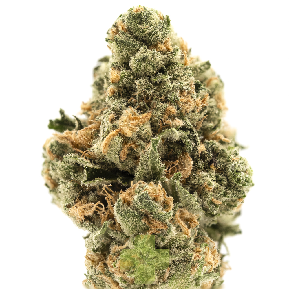Mimosa, SG - Rimrock Farms | Menu